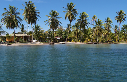 Tropical beach with typical Caribbean houses under coconut trees