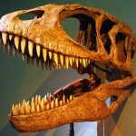 Мифы о динозаврах
