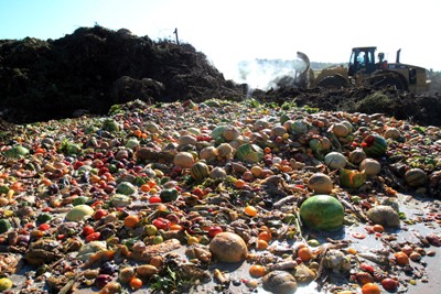 food waste composting